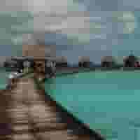 Google Maps Leads Finder